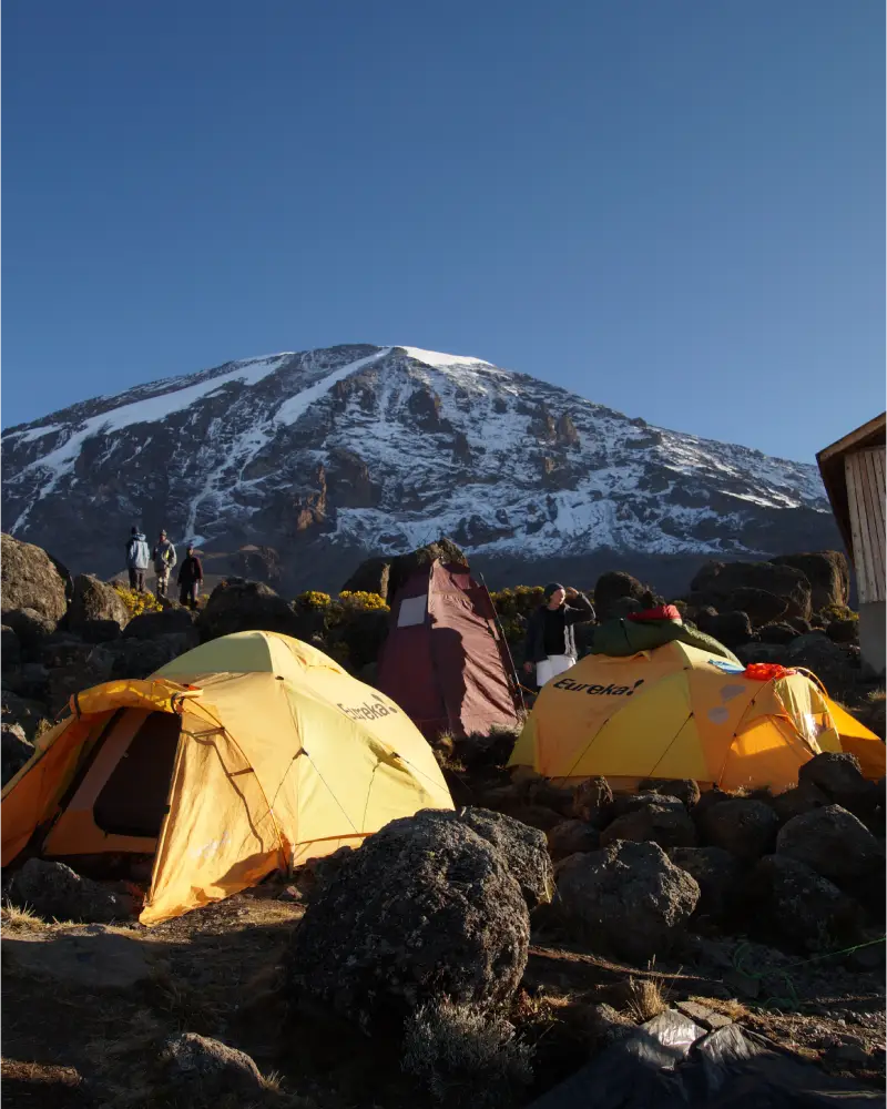 Chalet 1